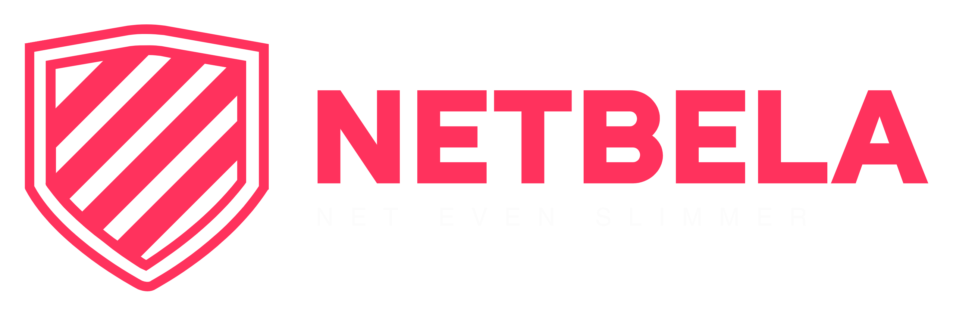Netbela Logo