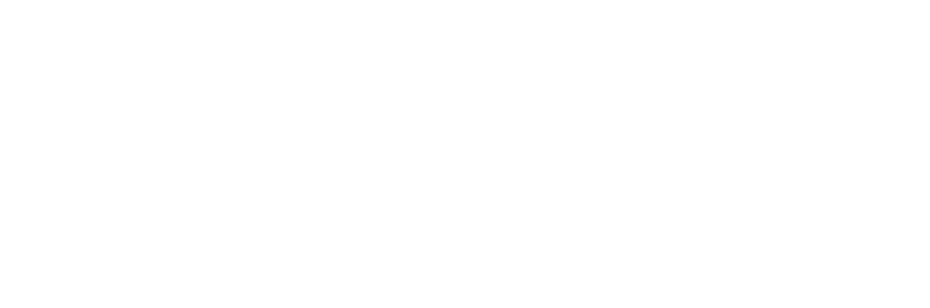 Netbela Logo