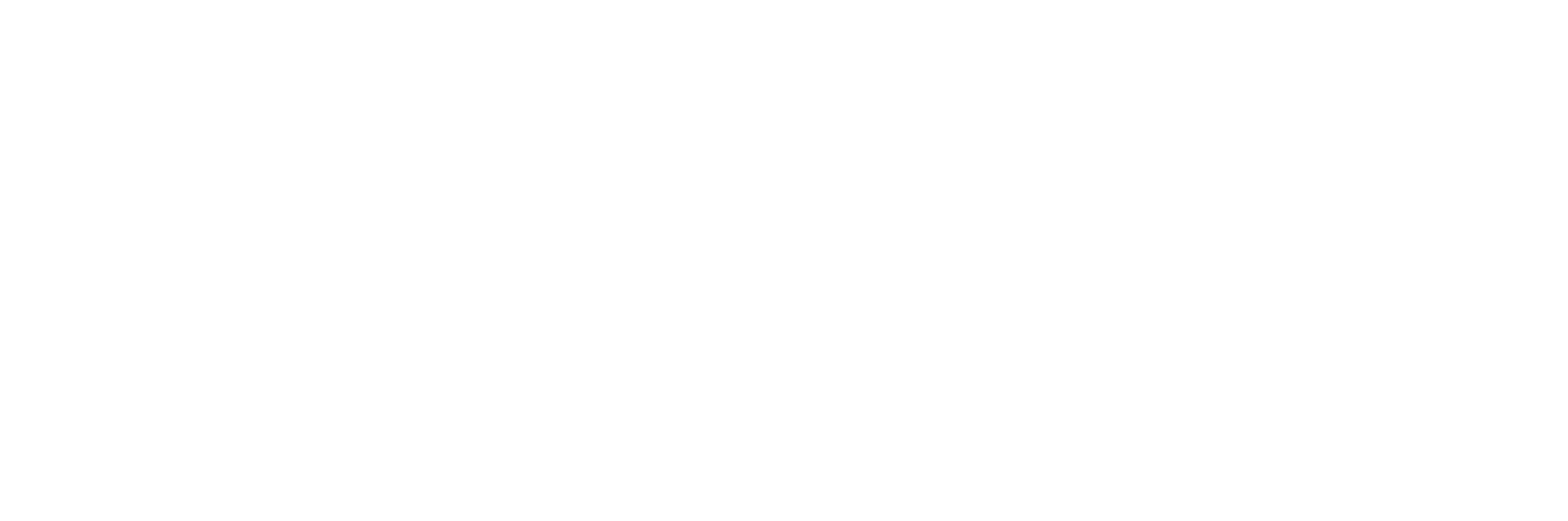 Netbela Logo